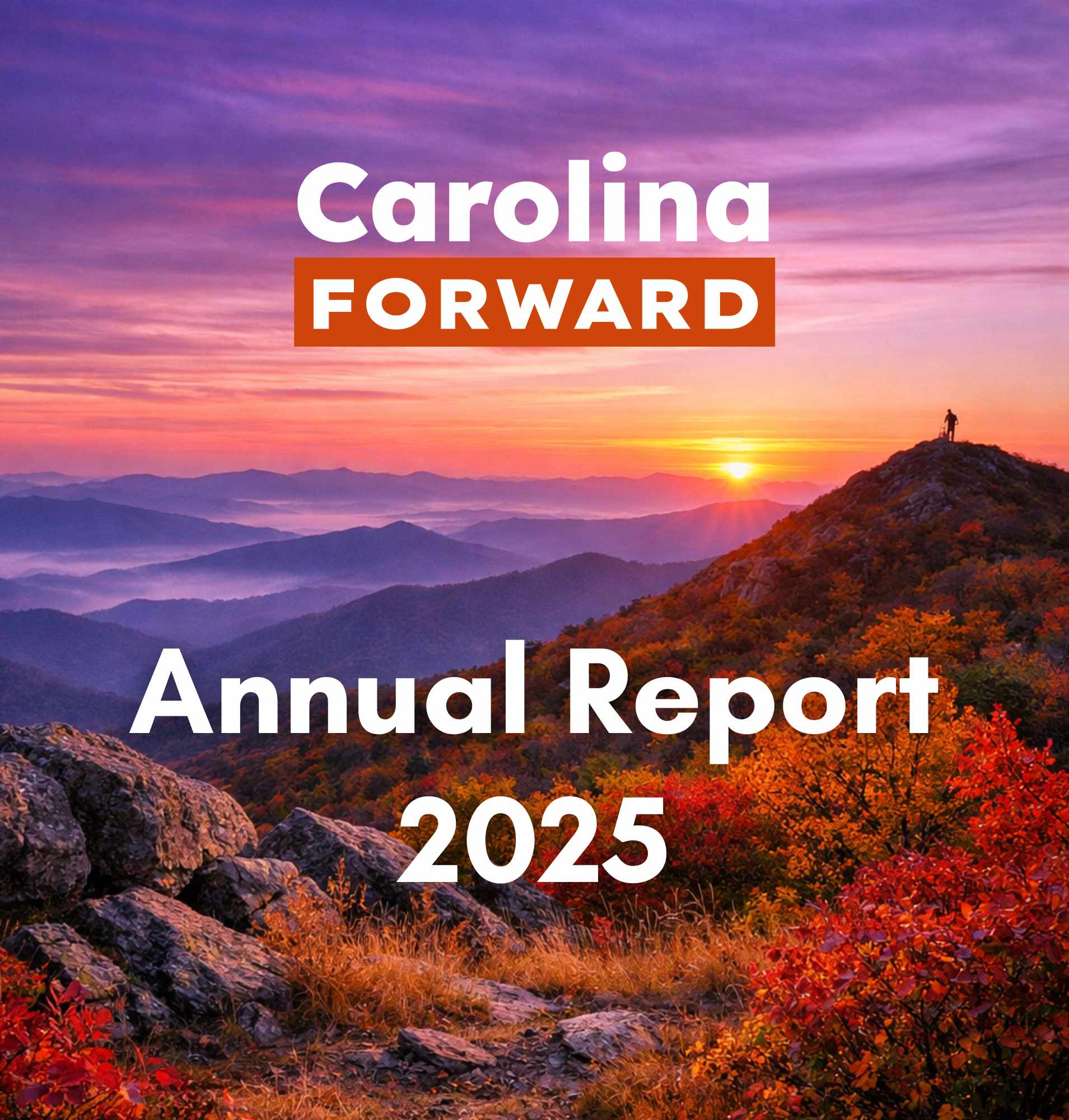 CF 2025 Annual Report cover